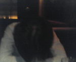 200707312338000.jpg